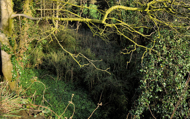 Old railway, Ballynahinch (1)