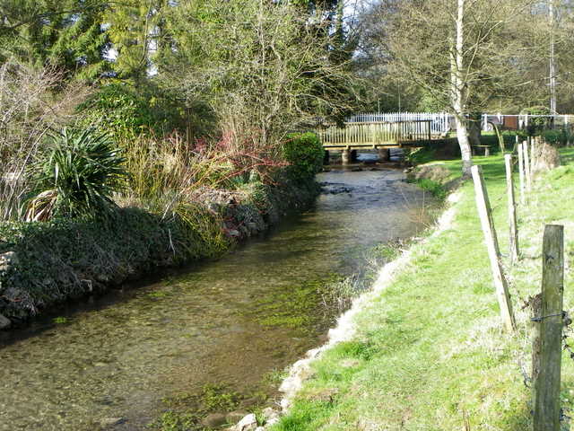 River Allen, Damerham