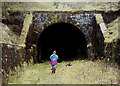 NT5201 : Whitrope Tunnel by Walter Baxter