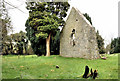 J5253 : Killowen church, Killyleagh (1) by Albert Bridge