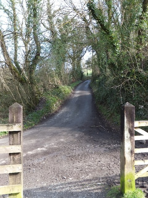 The road to Polbrock from Polbrock Bridge