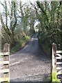 SX0169 : The road to Polbrock from Polbrock Bridge by David Smith