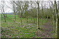 SP6711 : Footpath through the copse by Graham Horn