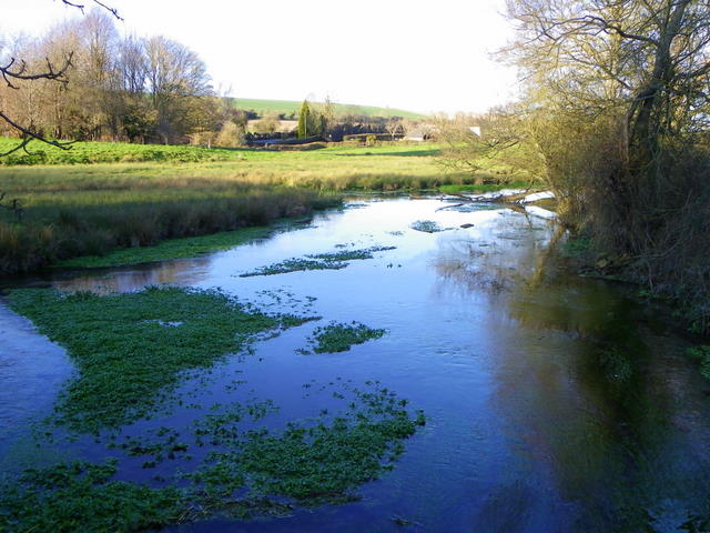 River Ebble, Broad Chalke - (3)