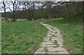 SE6795 : Footpath through Farndale by Pauline E