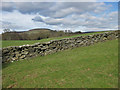 SE6696 : Yorkshire drystone wall by Pauline E