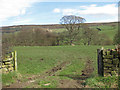 SE6697 : View to Blakey Ridge by Pauline E