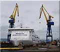 J3676 : The 'Stena Lagan' in dry dock, Belfast by Rossographer