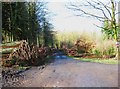 SO7779 : Avenue of logs, Eymore Wood, near Trimpley by P L Chadwick