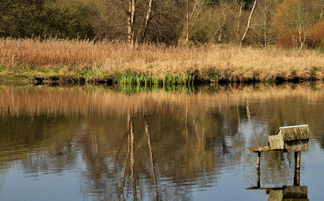 Bird box, Kiltonga, Newtownards