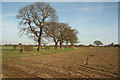 SK8468 : Spalford farmland by Richard Croft