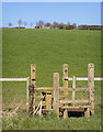 ST0274 : Double Stile and Footbridge by Guy Butler-Madden