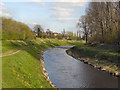 SJ8291 : River Mersey by David Dixon