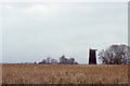 TG4405 : Stone's Drainage Mill, Wickhampton Marshes by Christopher Hilton