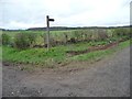 SE4042 : Public Bridleway sign by Christine Johnstone