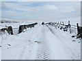 SD8073 : The lane to High Birkwith in the snow by John S Turner