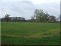  : Farmland near Bat Bridge by JThomas