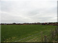 NZ1730 : View across the fields to Witton Park by Robert Graham