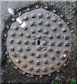 J5181 : Manhole cover, Bangor by Rossographer