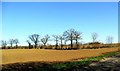 TM2061 : Ploughed field south of Ashfield Cum Thorpe, Suffolk by nick macneill