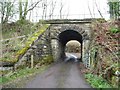 NZ1657 : Railway bridge on the Derwent Walk by Christine Johnstone