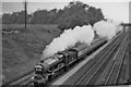 SU7976 : Up 'Cornish Riviera Express' near Ruscombe Siding Box, east of Twyford by Ben Brooksbank