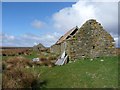 ND1543 : Remains of Acharaskill farm, Caithness by Claire Pegrum