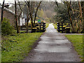 NN5200 : Cycletrack and Bridge over Allt a'Mhangam by David Dixon