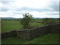 SD6378 : An Andy Goldsworthy sheepfold near Casterton by Karl and Ali