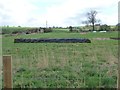 NZ1547 : A field full of veg beds, south of Newbiggin Lane by Christine Johnstone