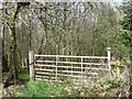 NZ1544 : Gate at the edge of Ragpathside Plantation by Christine Johnstone