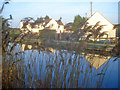 SO9058 : Reeds on the Worcester & Birmingham Canal by Trevor Rickard