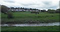 SE4103 : Across the River Dove with Darfield in the background. by Steve  Fareham