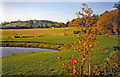 SO9664 : Pond and lawns at the Jinney Ring Craft Centre by Trevor Rickard