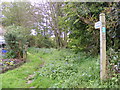 TM2750 : Bridleway to the A1152 Woods Lane by Geographer