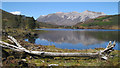 NH0055 : Flotsam and Loch Coulin by Bob Jones