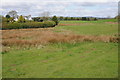 SO2550 : Grazing land near Great Birches Farm by Philip Halling