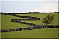 SK1054 : Dry Stone Walls, Low Wetton Hill by Mick Garratt