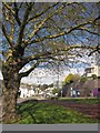 SX9064 : Plane on traffic island, Torre by Derek Harper