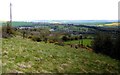 NZ1161 : Footpath above North View by Andrew Curtis