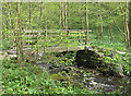 SE0855 : Footbridge over Pickles Beck by Pauline E