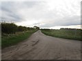 NU0138 : Road towards Lowick High Steads by Graham Robson