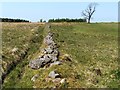 NS4560 : Old field boundary by Lairich Rig