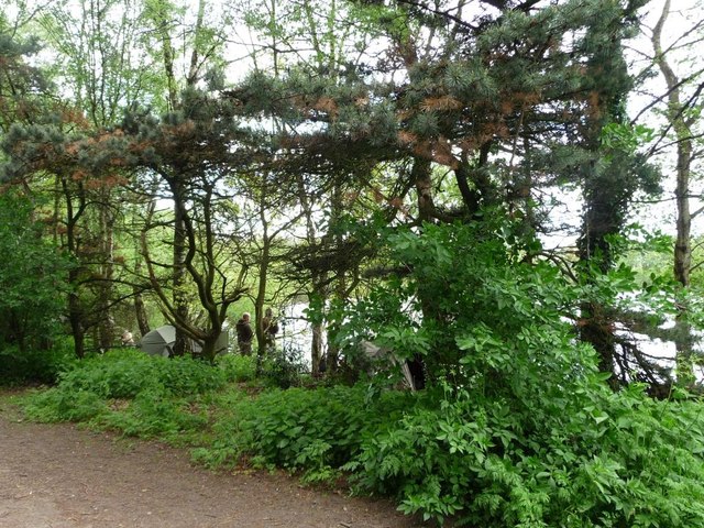 Anglers' day camp, Shakerley Mere