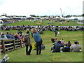 SX9891 : Devon County Show - main arena by Chris Allen