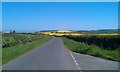 NU0141 : Country road near Lowick by Graham Robson