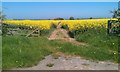 NU0140 : Footpath through the field by Graham Robson