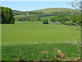 NO2251 : Farmland at Bamff by M J Richardson