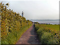 SJ4780 : Lighthouse Road, Hale Head by David Dixon