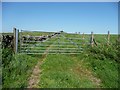 SK0549 : Gated farm track, Black Heath by Christine Johnstone